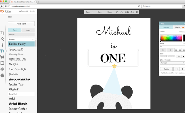 How to personalize printables using Picmonkey | Shabby Mint Chic Party