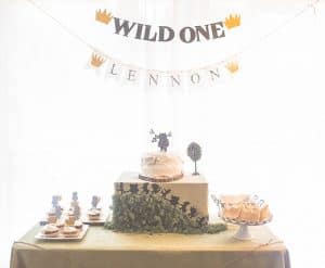 Wild One Themed Party