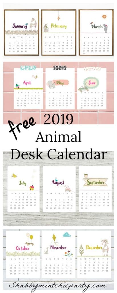 2019 Animal desk Calendar