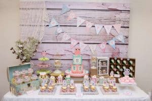 First Birthday Party Shabby CHic Owl